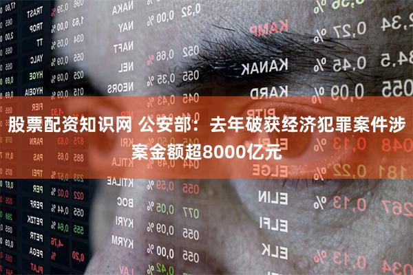股票配资知识网 公安部：去年破获经济犯罪案件涉案金额超8000亿元